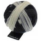 Schoppel Wolle Zauberball 4 Ply Sock Yarn Lace